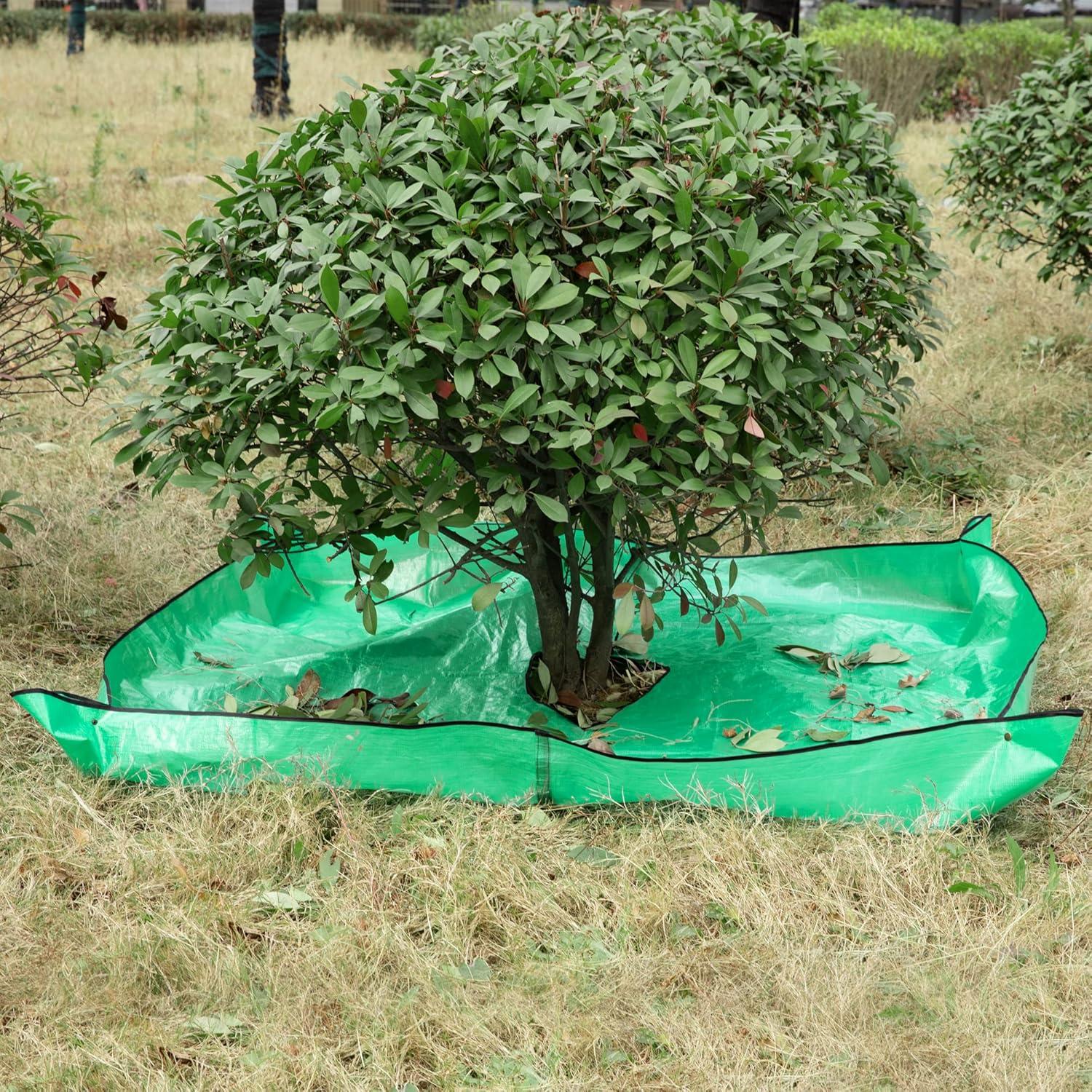 Moonoom Tarp Versus Pruners: Tested, 78.7"x78.7", 12-Inch Hole... Smart Yard Use