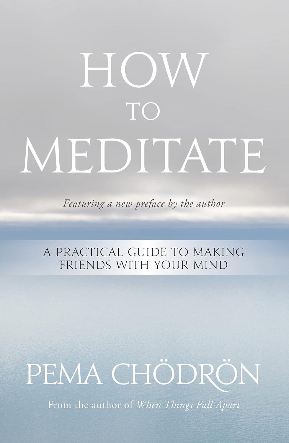 Simple Versus Practical: Tested Mind Friendship... (Meditation Guide Showdown)