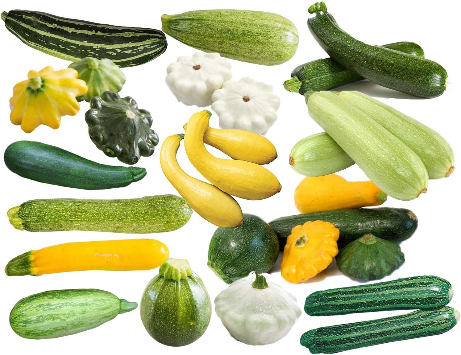 Christmas Mix Varies Zucchini Grows Non-GMO Squash Showdown Tested