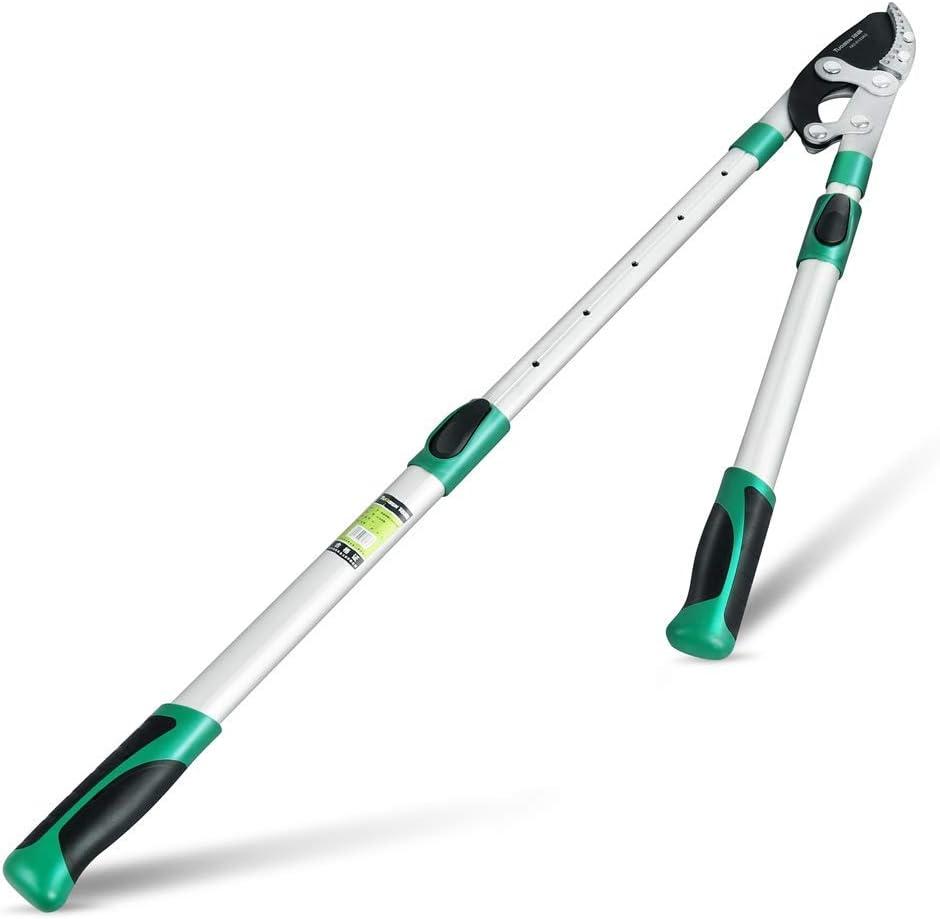 Surprising Versus Anvil Shears: 2-Inch Test… Professional Pruner Extend To 41-Inch!