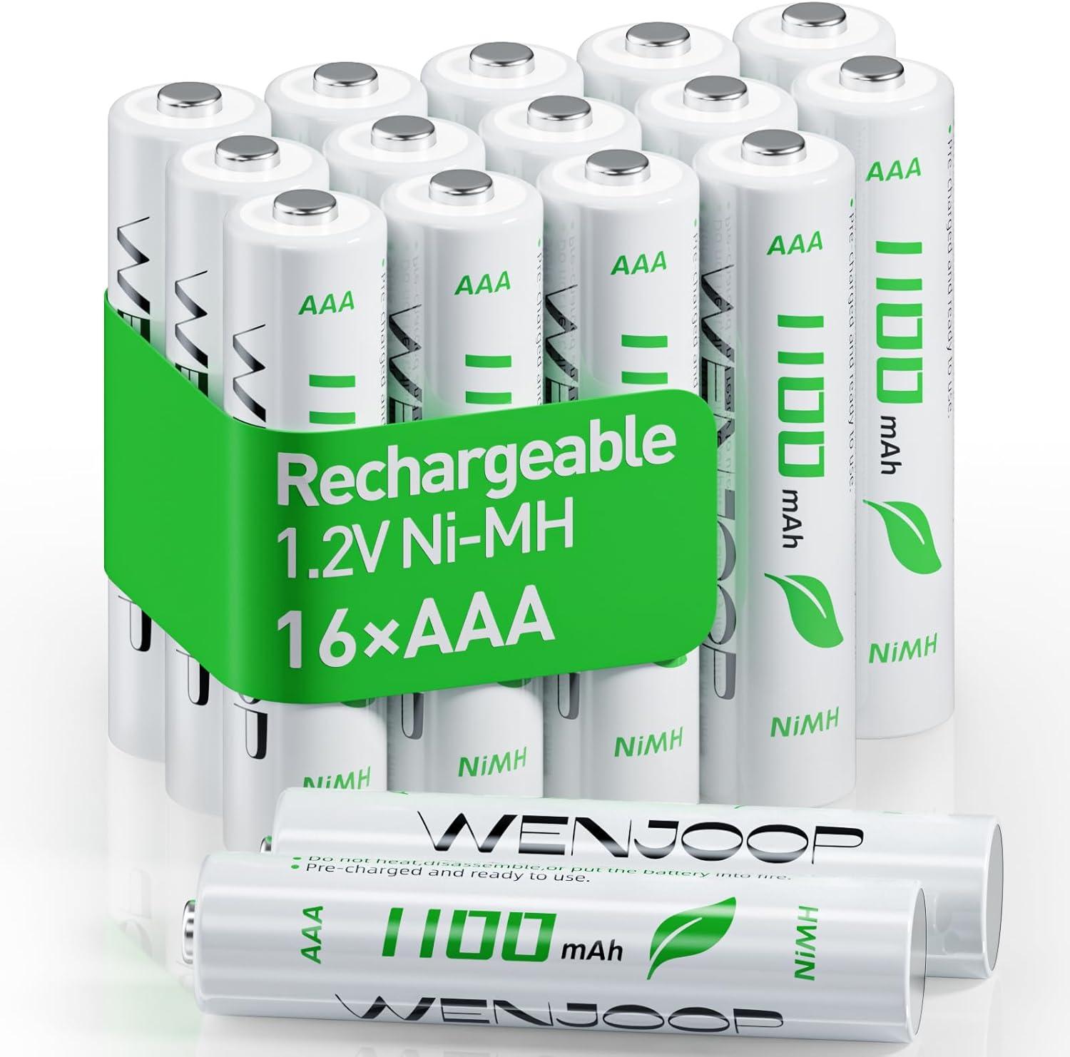 High-Capacity Rechargeable AAA Batteries Tested Versus NICM HHigh-Performing... Storage Case Seasonal Use