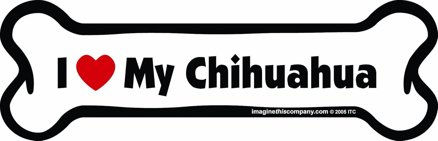 Bone Magnet Versus Chihuahua Charm: Tested Pet Accessories Showdown